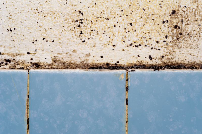 Addressing Mold and Mildew